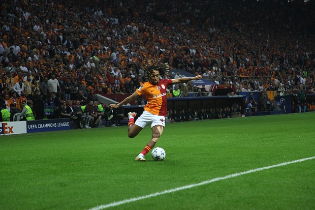 證明了自身 證明了自身