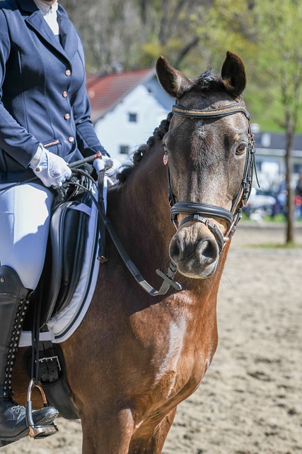 为中心的战 为中心的战