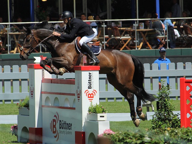 二月份的 二月份的