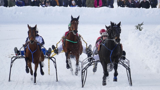 如登贝莱这 如登贝莱这