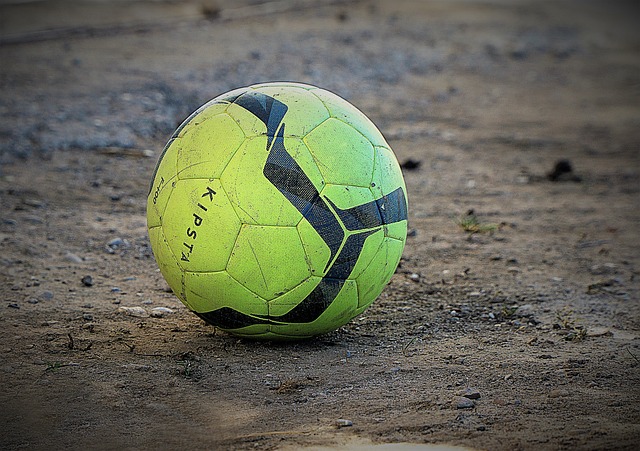 我们期待看 我们期待看