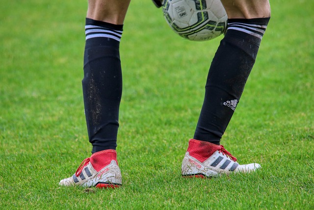 而是选择迎 而是选择迎