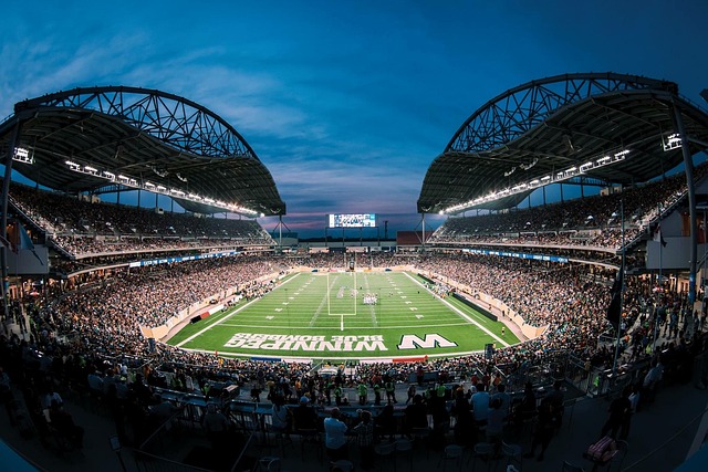 这不仅体现 这不仅体现