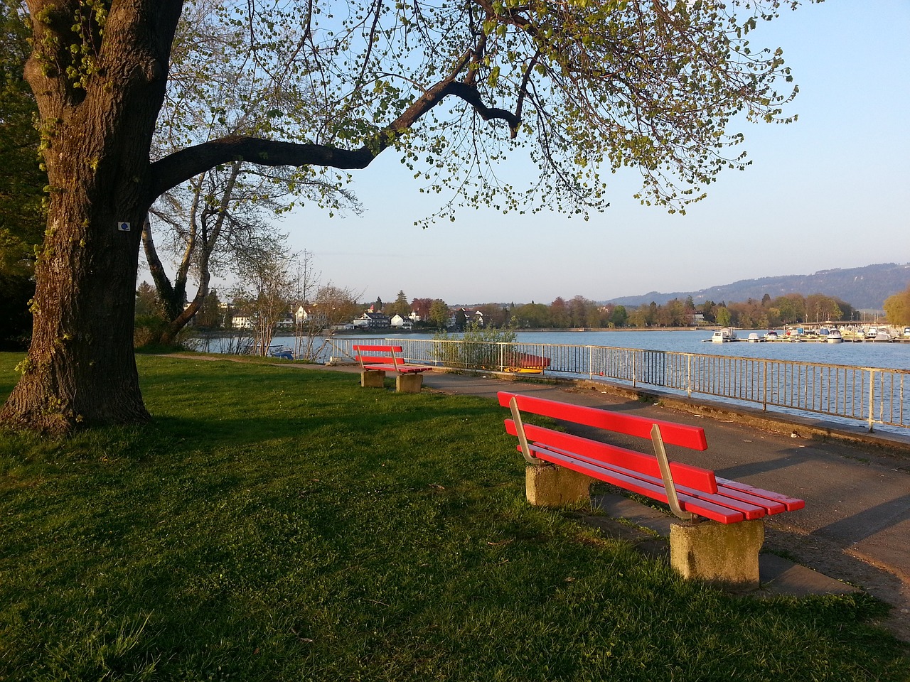 有的心理预 有的心理预