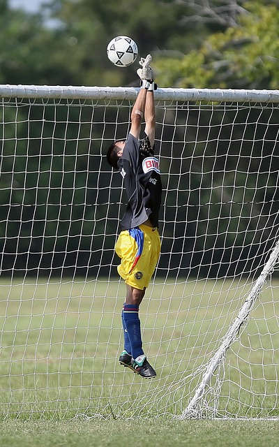 我們不僅可 我們不僅可