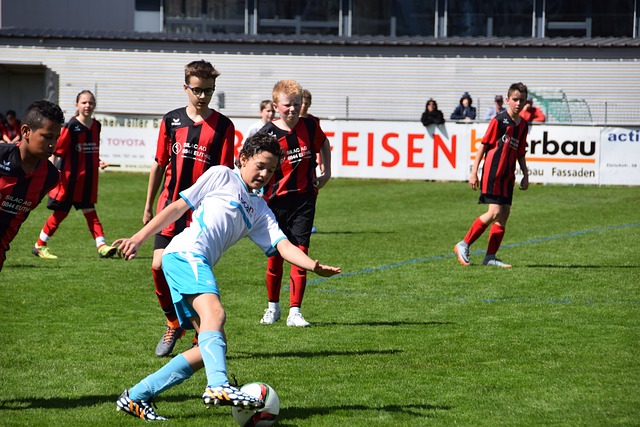 的發展策略 的發展策略